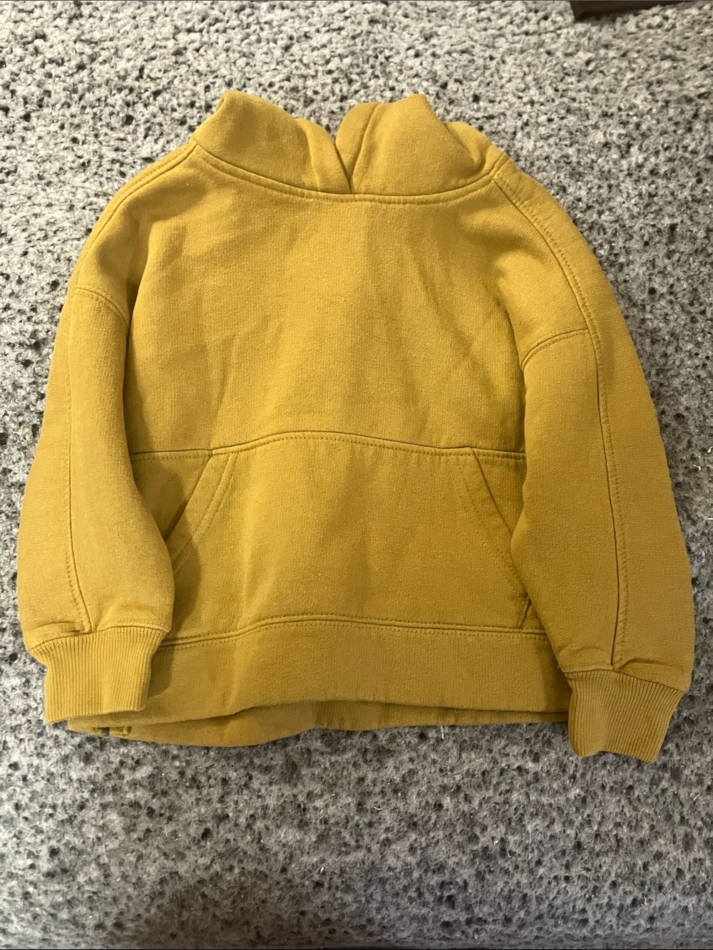 Zara hooded sweatshirt